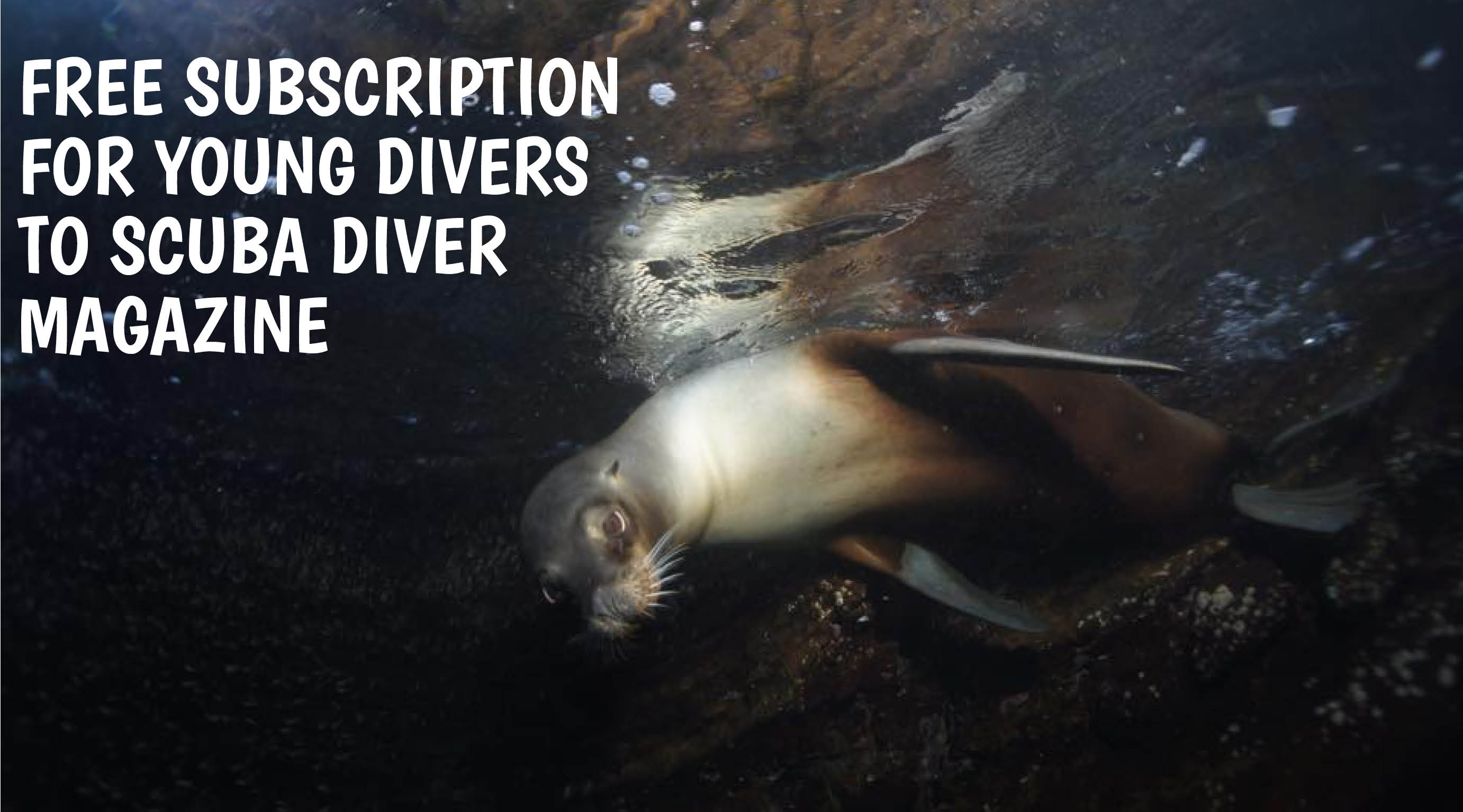 free subscription young diver scuba diver magazine